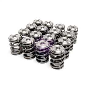 Alpha Series Valve Spring And Retainer Kit